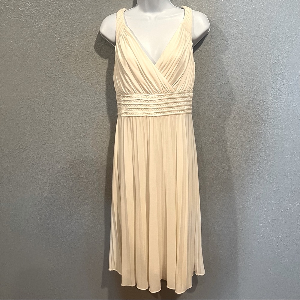 Suzi CHIN for Maggie Boutique dress